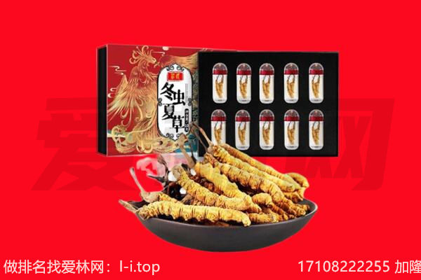 烟台回收虫草.jpg